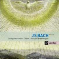 Bach, J.S. 