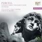 Purcell