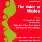 Male Voice Choir