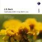 Bach, J.S. 