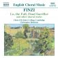 Finzi